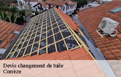 Devis changement de tuile 19 Corrèze  Couverture Angelo 