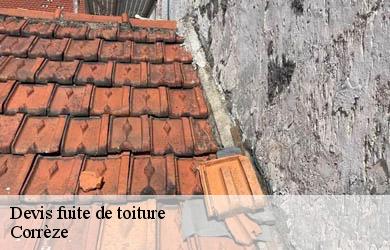 Devis fuite de toiture 19 Corrèze  Couverture Angelo 