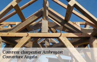 Couvreur charpentier  ambrugeat-19250 Couverture Angelo 