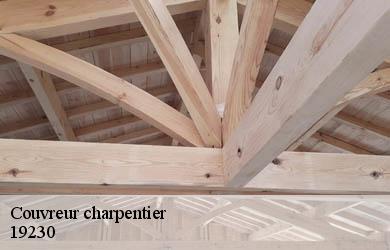 Couvreur charpentier  beyssac-19230 Couverture Angelo 