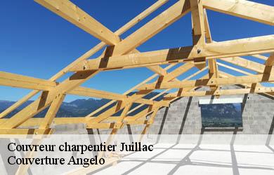 Couvreur charpentier  juillac-19350 Couverture Angelo 