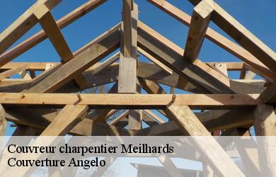 Couvreur charpentier  meilhards-19510 Couverture Angelo 