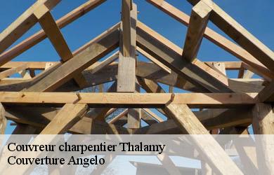 Couvreur charpentier  thalamy-19200 Couverture Angelo 