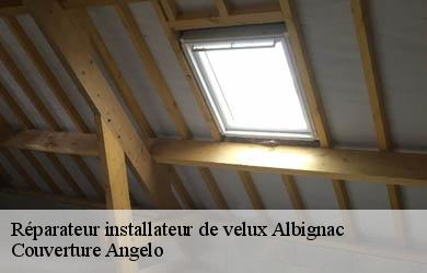 Réparateur installateur de velux  albignac-19190 Couverture Angelo 