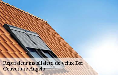 Réparateur installateur de velux  bar-19800 Couverture Angelo 