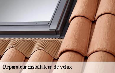 Réparateur installateur de velux  espagnac-19150 Couverture Angelo 