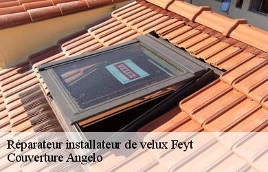 Réparateur installateur de velux  feyt-19340 Couverture Angelo 