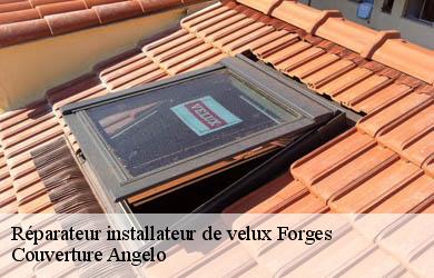 Réparateur installateur de velux  forges-19380 Couverture Angelo 