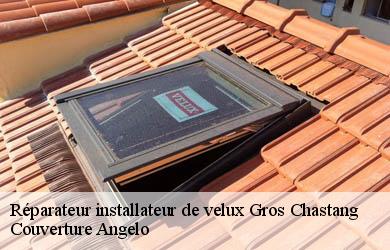 Réparateur installateur de velux  gros-chastang-19320 Couverture Angelo 