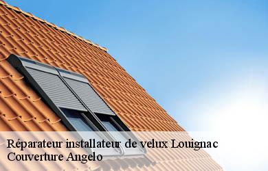 Réparateur installateur de velux louignac-19310 Couverture Angelo