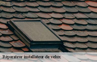 Réparateur installateur de velux saint-frejoux-19200 Melvin Couverture