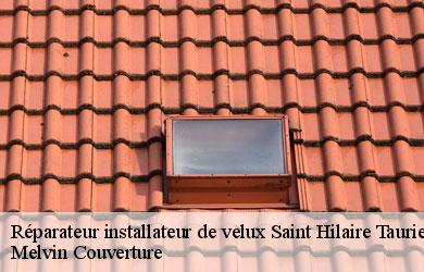 Réparateur installateur de velux saint-hilaire-taurieux-19400 Melvin Couverture