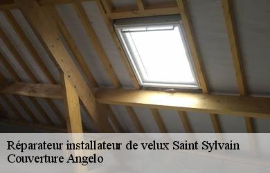 Réparateur installateur de velux  saint-sylvain-19380 Couverture Angelo 