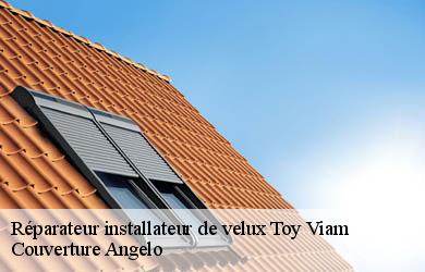 Réparateur installateur de velux  toy-viam-19170 Couverture Angelo 
