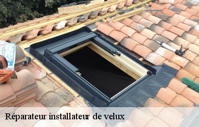 Réparateur installateur de velux  veyrieres-19200 Couverture Angelo 