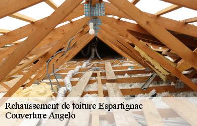 Rehaussement de toiture espartignac-19140 Couverture Angelo