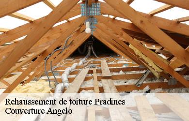 Rehaussement de toiture  pradines-19170 Couverture Angelo 
