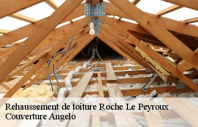 Rehaussement de toiture  roche-le-peyroux-19160 Couverture Angelo 
