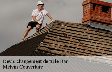 Devis changement de tuile bar-19800 Melvin Couverture