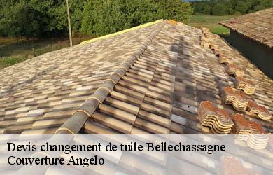 Devis changement de tuile  bellechassagne-19290 Couverture Angelo 