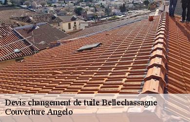 Devis changement de tuile  bellechassagne-19290 Couverture Angelo 