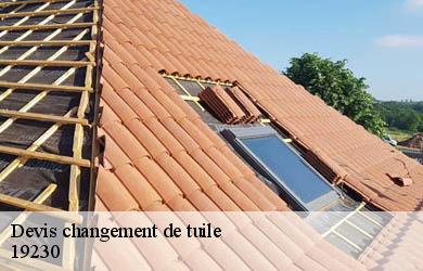 Devis changement de tuile  beyssac-19230 Couverture Angelo 