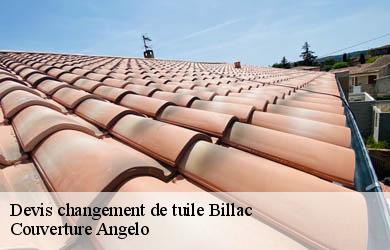 Devis changement de tuile  billac-19120 Couverture Angelo 