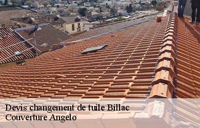 Devis changement de tuile  billac-19120 Couverture Angelo 
