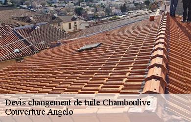 Devis changement de tuile  chamboulive-19450 Couverture Angelo 