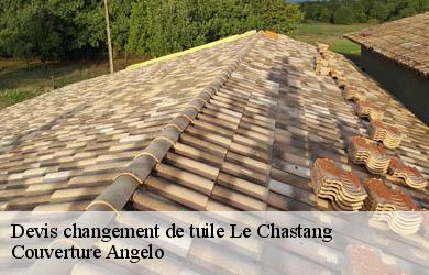 Devis changement de tuile  le-chastang-19190 Couverture Angelo 