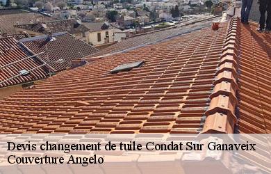Devis changement de tuile condat-sur-ganaveix-19140 Couverture Angelo