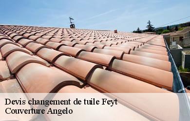 Devis changement de tuile feyt-19340 Couverture Angelo