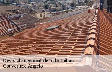 Devis changement de tuile  juillac-19350 Couverture Angelo 