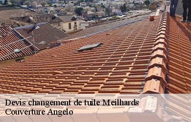 Devis changement de tuile  meilhards-19510 Couverture Angelo 
