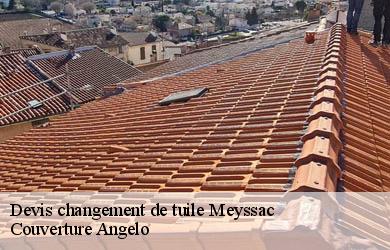 Devis changement de tuile  meyssac-19500 Couverture Angelo 