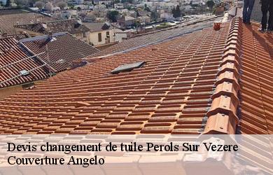 Devis changement de tuile  perols-sur-vezere-19170 Couverture Angelo 