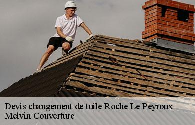 Devis changement de tuile roche-le-peyroux-19160 Melvin Couverture
