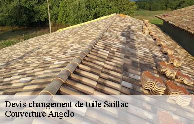 Devis changement de tuile  saillac-19500 Couverture Angelo 
