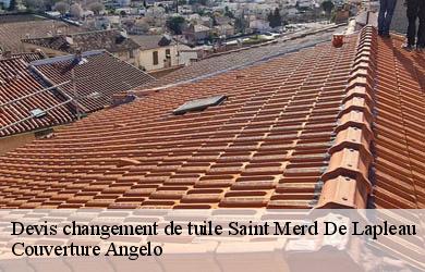Devis changement de tuile  saint-merd-de-lapleau-19320 Couverture Angelo 