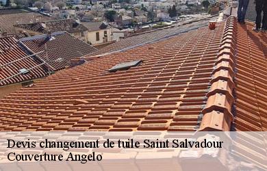 Devis changement de tuile  saint-salvadour-19700 Couverture Angelo 