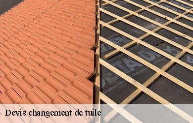 Devis changement de tuile  segonzac-19310 Couverture Angelo 