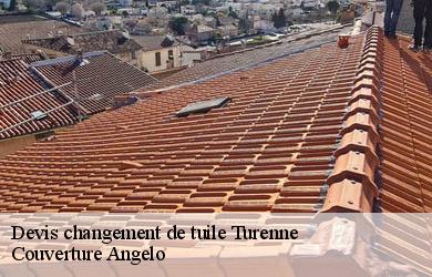 Devis changement de tuile  turenne-19500 Couverture Angelo 