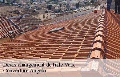 Devis changement de tuile  veix-19260 Couverture Angelo 