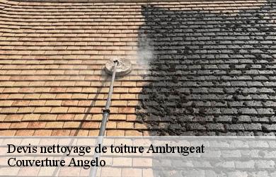 Devis nettoyage de toiture  ambrugeat-19250 Couverture Angelo 