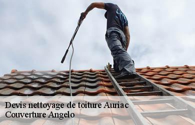 Devis nettoyage de toiture  auriac-19220 Couverture Angelo 