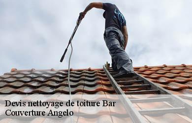 Devis nettoyage de toiture bar-19800 Couverture Angelo