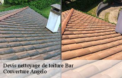 Devis nettoyage de toiture  bar-19800 Couverture Angelo 