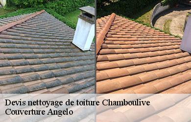 Devis nettoyage de toiture chamboulive-19450 Couverture Angelo