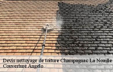 Devis nettoyage de toiture  champagnac-la-noaille-19320 Couverture Angelo 