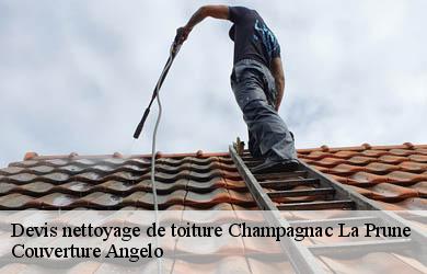 Devis nettoyage de toiture  champagnac-la-prune-19320 Couverture Angelo 